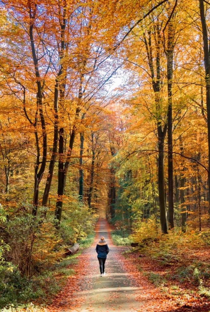 Walking coaching can help you think more clearly and boost your mood